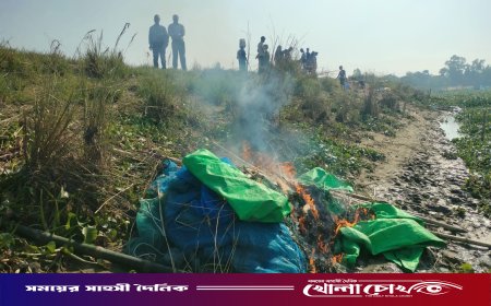আত্রাইয়ে ভ্রাম্যমাণ আদালতের অভিযান: অবৈধ ‘কচ জাল’ জব্দ ও পুড়িয়ে ধ্বংস