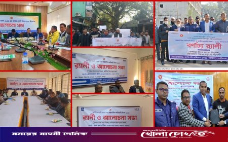 দেশজুড়ে পালিত আন্তর্জাতিক অভিবাসী ও জাতীয় প্রবাসী দিবস