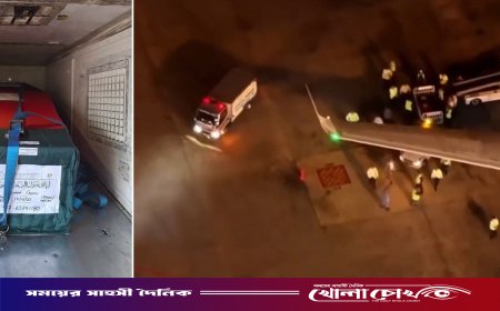 দেশের মাটিতে পৌঁছেছে শহীদ ওসমান হাদির মরদেহবাহী বিমান