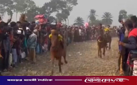 মঘী ইউনিয়নে ৩১তম ঐতিহ্যবাহী ঘোড়দৌড় ও সাংস্কৃতিক উৎসব অনুষ্ঠিত