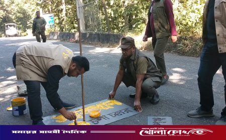 বন্যহাতির হুমকিতে কাপ্তাই, পর্যটক ও বাসিন্দাদের সতর্কতা