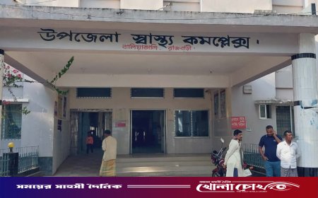 বালিয়াকান্দিতে মাহেন্দ্র ও অটোরিকশার সংঘর্ষে বৃদ্ধের মৃত্যু