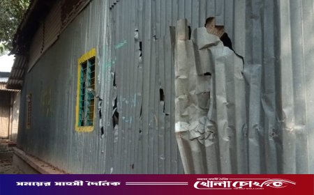 সালথায় কৃষকের বসতবাড়িতে প্রতিপক্ষের হামলা, ভাঙচুর