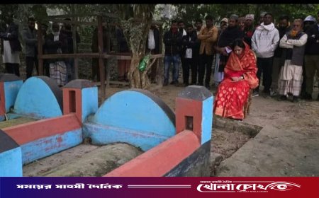 দাদা-দাদির কবর জিয়ারতে ব্রাহ্মণবাড়িয়া-২ আসনে প্রচারণা শুরু রুমিন ফারহানার