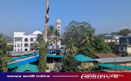 থানচি বাজারে ঝুঁকিপূর্ণ মৃত বৃক্ষ: আতঙ্কে ২০ পরিবার, যেকোনো মুহূর্তে দুর্ঘটনার শঙ্কা