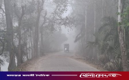 নওগাঁয় জেঁকে বসেছে শীত: কুয়াশা আর হিমেল হাওয়ায় বিপাকে খেটে খাওয়া মানুষ