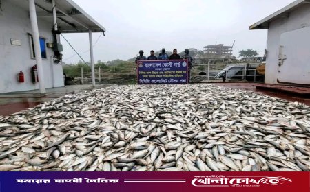 পদ্মাসেতু উত্তরে ৪৫ লাখ টাকার জাটকা জব্দ