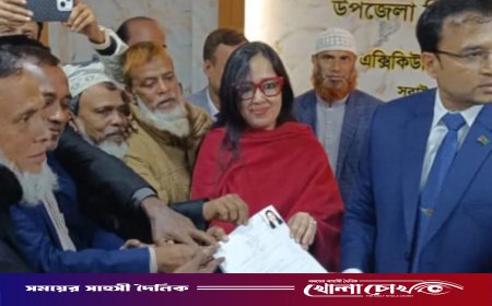 আল্লাহর পরিকল্পনায় বিএনপির জোয়ারের বিপক্ষে স্বতন্ত্র নির্বাচন করতে হচ্ছে: রুমিন ফারহানা