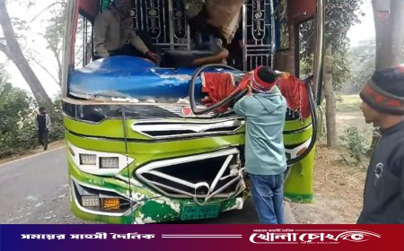 মাদারীপুরে বাস নিয়ন্ত্রণ হারিয়ে গাছে ধাক্কা: আহত অন্তত ২০