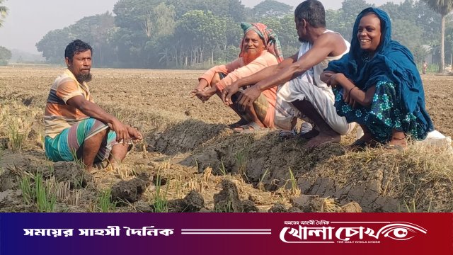 সদরপুরে টিএসসি সারের তীব্র সংকট, চাষাবাদে অনিশ্চয়তা