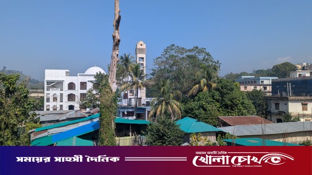 থানচি বাজারে ঝুঁকিপূর্ণ মৃত বৃক্ষ: আতঙ্কে ২০ পরিবার, যেকোনো মুহূর্তে দুর্ঘটনার শঙ্কা