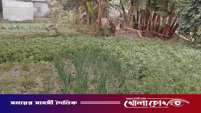 ব্রাহ্মণবাড়িয়ায় ভূমিদস্যুদের কবলে বাবুলের ১৯ শতক জমি