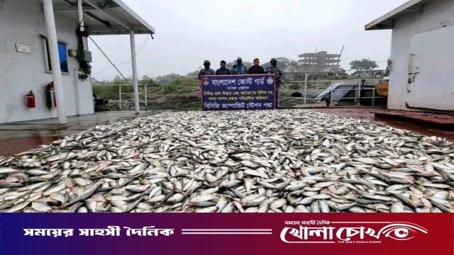 পদ্মাসেতু উত্তরে ৪৫ লাখ টাকার জাটকা জব্দ