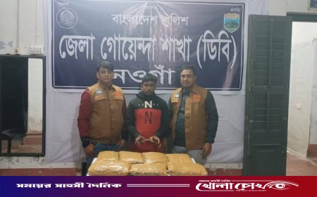 নওগাঁয় নতুন বছরের শুরুতেই ডিবি পুলিশের অভিযানে ৭ কেজি গাঁজাসহ গ্রেপ্তার ১