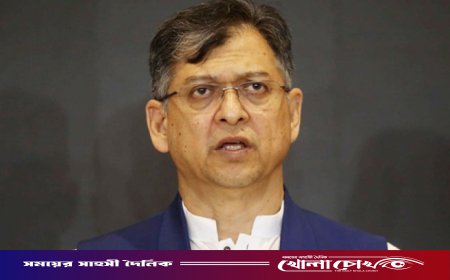 খালেদা জিয়ার আসনে বিকল্পরাই দলের প্রার্থী: সালাহউদ্দিন আহমেদ