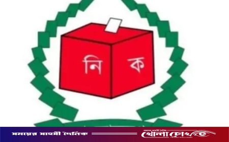 ফরিদপুর-৩ আসনে ৫ প্রার্থীর মনোনয়ন বৈধ, বাতিলের তালিকায় ১