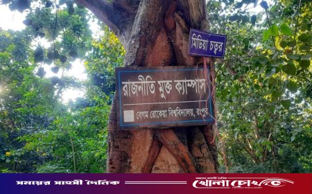 বেরোবিতে ব্যানার আছে ‘রাজনীতি নিষিদ্ধ’, বাস্তবে চলছে দলীয় কার্যক্রম