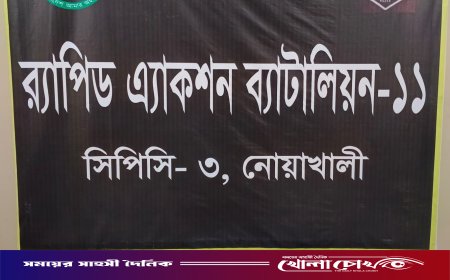 নোয়াখালীর বেগমগঞ্জে পরিত্যাক্ত স্থান থেকে এলজি উদ্ধার