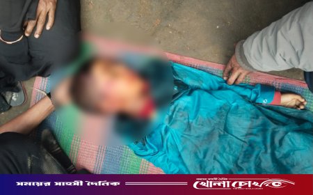 ‎শ্রীনগর ফেরীঘাট-গোয়ালীমান্দ্রায় রাস্তায় অটোরিক্সার ধাক্কায় ৫ বছরের শিশু নিহত