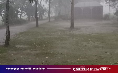 শৈত্যপ্রবাহ ও হিমেল হাওয়ায় বিপর্যস্ত জলঢাকা: তীব্র শীতে উষ্ণতার খোঁজে অসহায় মানুষ