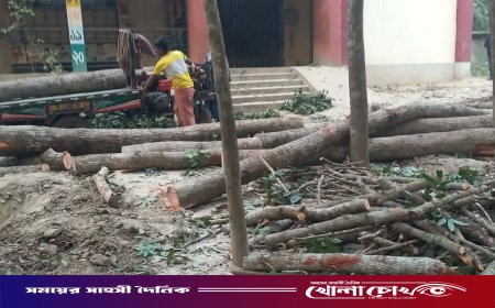 সালথায় স্কুলের গাছ কাটা নিয়ে দুই পক্ষের সংঘর্ষে আহত ২০