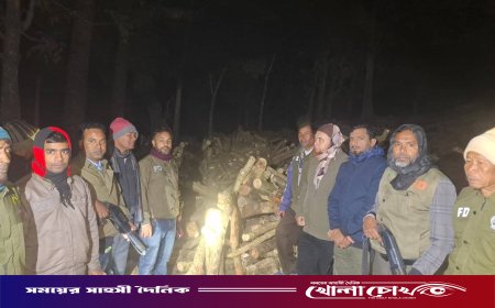 ইটভাটায় বন বিভাগের হানা