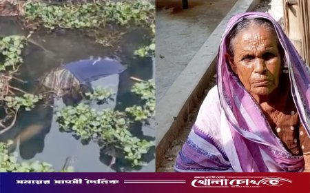 সালথায় পাঁচদিন পর ডোবা থেকে নিখোঁজ বৃদ্ধার মরদেহ উদ্ধার