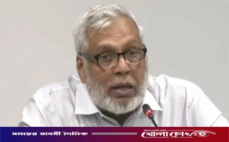 এলপিজির বাজার অস্থিতিশীল করেছে খুচরা ও পাইকারি ব্যবসায়ীরা: জ্বালানি উপদেষ্টা