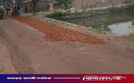 গোদাগাড়ীতে স্কুল সংলগ্ন সড়ক সংস্কারে ব্যাপক অনিয়মের অভিযোগ