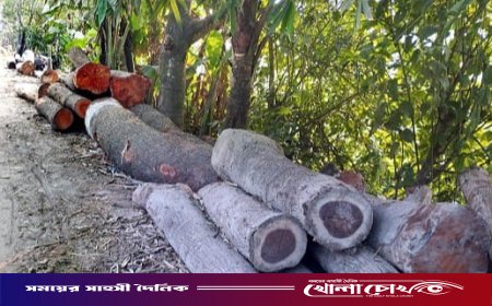 সড়কে গাছের গুড়ি ফেলে যান চলাচলে বিঘ্ন