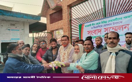 যুবলীগের সাংগঠনিক সম্পাদকসহ আ’লীগের ৫ নেতার পদত্যাগ