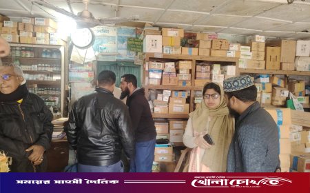 খোকসায় অবৈধভাবে মজুদকৃত ৩৬১ বস্তা সার জব্দ