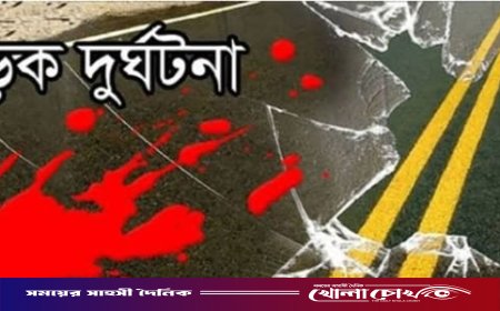 ফরিদপুরে চলন্ত ইজিবাইক থেকে পড়ে বৃদ্ধের মৃত্যু