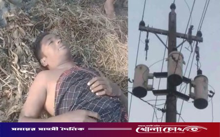 নওগাঁয় ট্রান্সফরমার চুরি করতে গিয়ে অঘটন, ঘটনাস্থলেই চোরের মৃত্যু