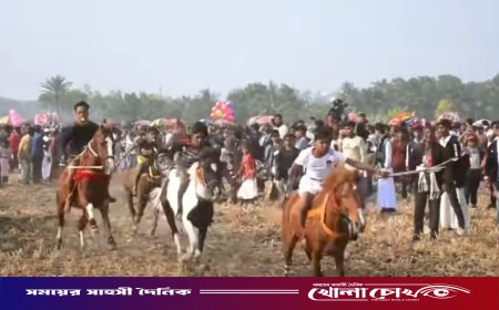মাগুরায় বড়রিয়ার ঐতিহ্যবাহী ঘোড়দৌড় প্রতিযোগিতা অনুষ্ঠিত