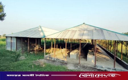 রাণীনগরে চরমপন্থীদের পুনর্বাসন প্রকল্প এখন ‘ভূতের বাড়ি’: লুট হয়েছে কোটি টাকার সম্পদ