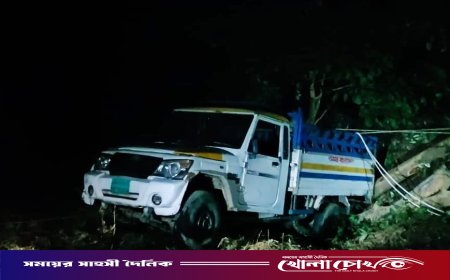রাঙ্গামাটিতে কাঠবোঝাই পিকআপ খাদে পড়ে দুই শ্রমিকের মৃত্যু