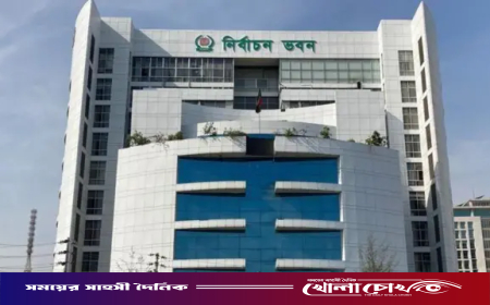 ত্রয়োদশ জাতীয় সংসদ নির্বাচন: আপিল শুনানির অষ্টম দিনের কার্যক্রম চলছে