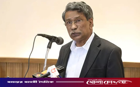 গণভোটে ‘হ্যাঁ’র প্রচারণায় সরকারি কর্মকর্তা-কর্মচারীদের কোনো আইনগত বাধা নেই: আলী রীয়াজ