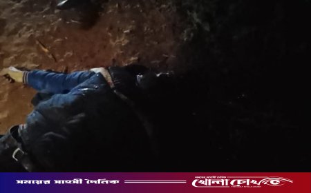 বিএনপি নেতার ইন্ধনে ডাকাত আখ্যা দিয়ে যুবককে পিটিয়ে হত্যার অভিযোগ