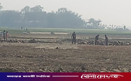 উচ্চ আদালতের নির্দেশ উপেক্ষা করে কৃষিজমির মাটি যাচ্ছে ইটভাটায়