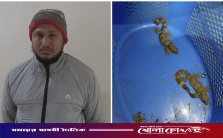 নাজিরপুরে নিষিদ্ধ বন্যপ্রাণী তক্ষকসহ আটক ১