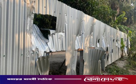 সালথায় জমিতে সেচ দেওয়া নিয়ে দুই পক্ষের সংঘর্ষে আহত- ১০