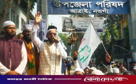 সুশাসন ও ইনসাফ কায়েমে দাঁড়িপাল্লার বিকল্প নেই: মো: খবিরুল ইসলাম