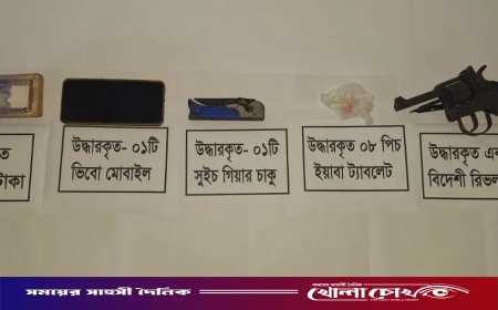 আশুলিয়ায় নির্বাচন ঘিরে কঠোর অভিযান, অস্ত্র ও মাদক উদ্ধার