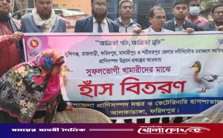 আলফাডাঙ্গায় চরাঞ্চলের ৬৫ খামারিকে হাঁস ও আর্থিক সহায়তা