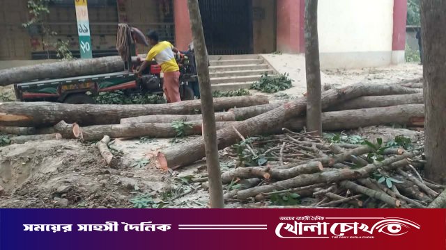 সালথায় স্কুলের গাছ কাটা নিয়ে দুই পক্ষের সংঘর্ষে আহত ২০