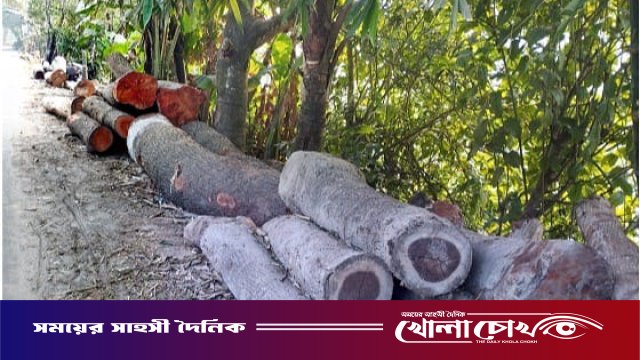 সড়কে গাছের গুড়ি ফেলে যান চলাচলে বিঘ্ন