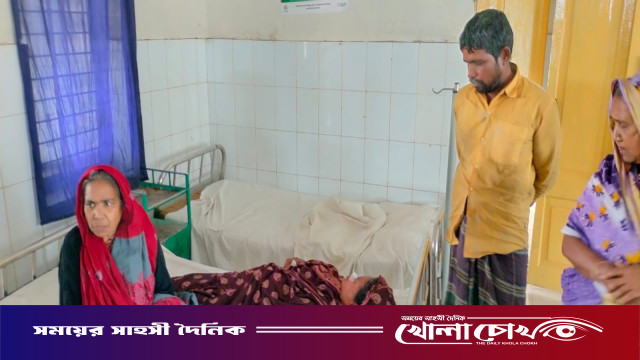 চরভদ্রাসনে শিয়ালের কামড়ে নারী আহত, এলাকায় আতঙ্ক