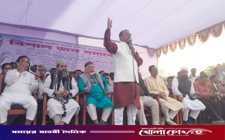 ‘আপনাদের সেবা করতে করতে মরে যেতে চাই’: বোয়ালমারীতে বিএনপি প্রার্থী খন্দকার নাসির